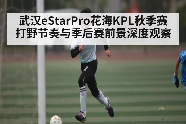 武汉eStarPro花海KPL秋季赛打野节奏与季后赛前景深度观察
